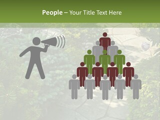 A Garden With Lots Of Plants And Rocks PowerPoint Template