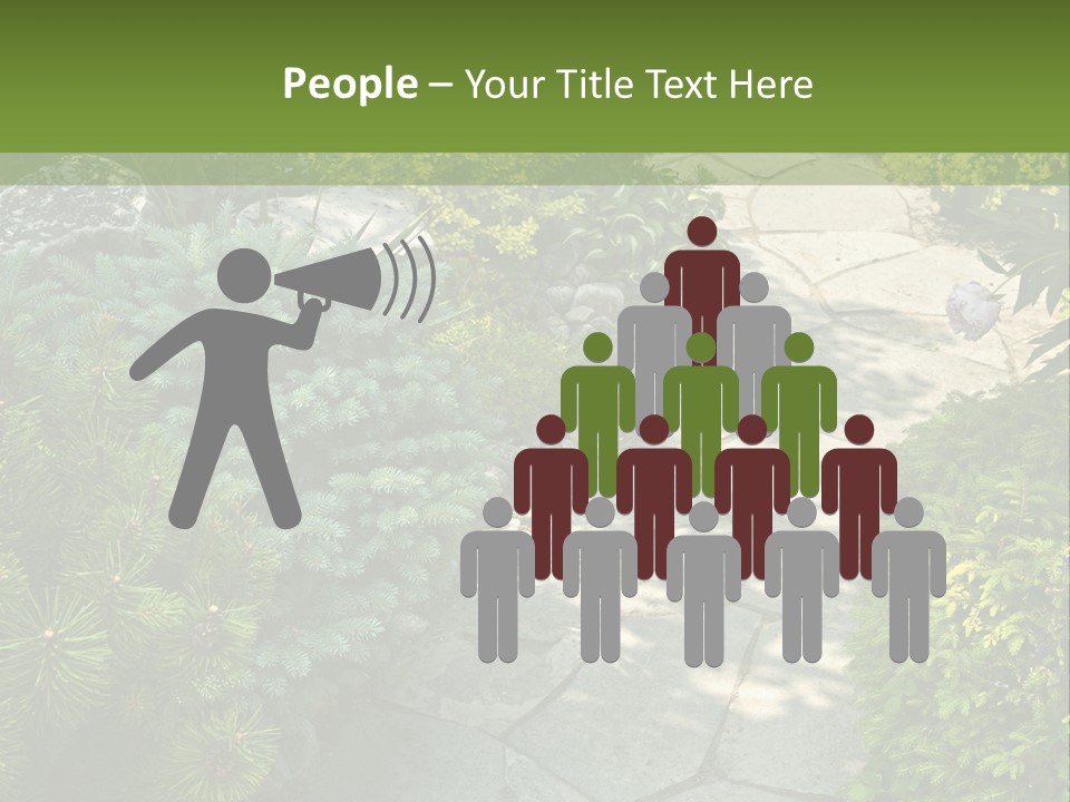 A Garden With Lots Of Plants And Rocks PowerPoint Template