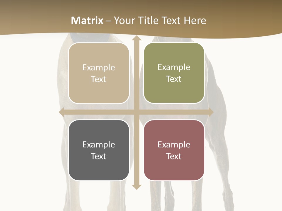 Two Dogs Standing Next To Each Other On A White Background PowerPoint Template