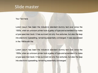 Two Dogs Standing Next To Each Other On A White Background PowerPoint Template