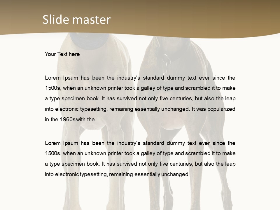 Two Dogs Standing Next To Each Other On A White Background PowerPoint Template