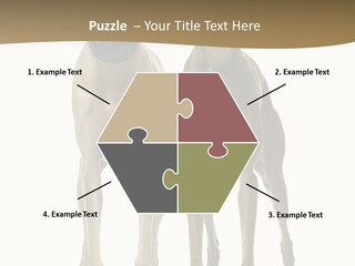 Two Dogs Standing Next To Each Other On A White Background PowerPoint Template