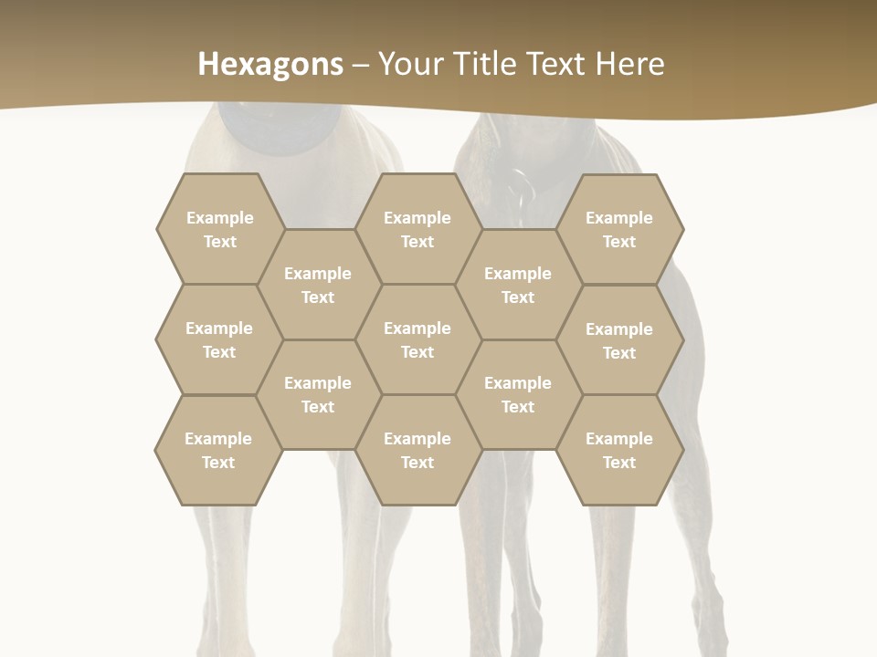 Two Dogs Standing Next To Each Other On A White Background PowerPoint Template