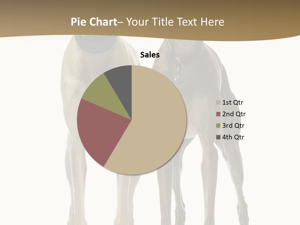 Two Dogs Standing Next To Each Other On A White Background PowerPoint Template