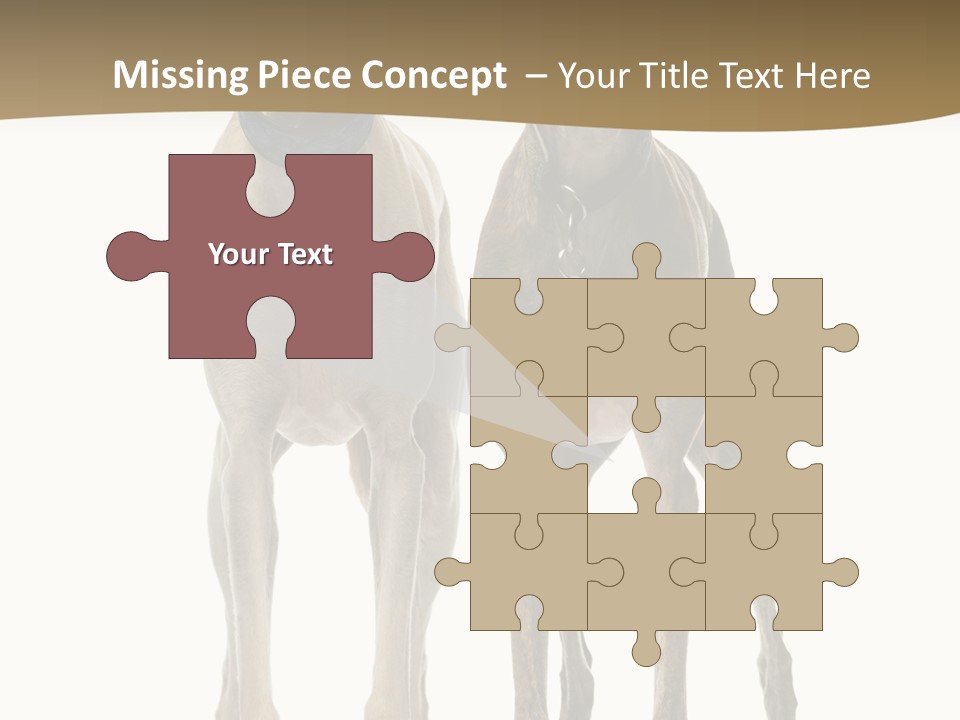 Two Dogs Standing Next To Each Other On A White Background PowerPoint Template