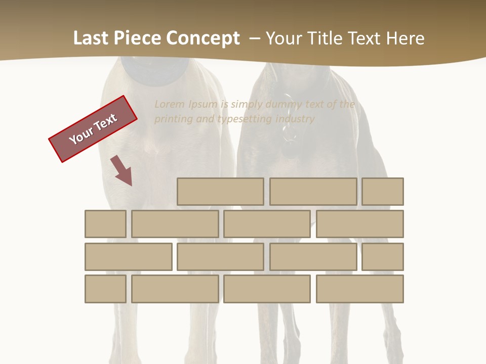 Two Dogs Standing Next To Each Other On A White Background PowerPoint Template