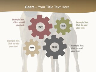 Two Dogs Standing Next To Each Other On A White Background PowerPoint Template