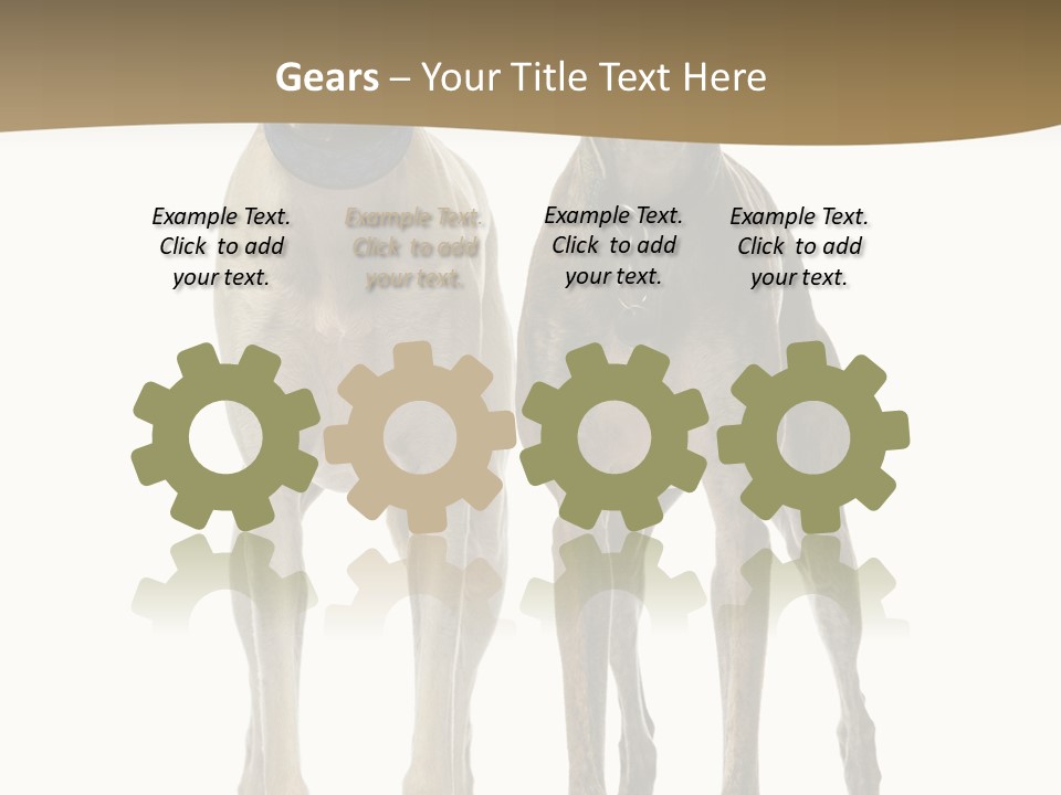 Two Dogs Standing Next To Each Other On A White Background PowerPoint Template