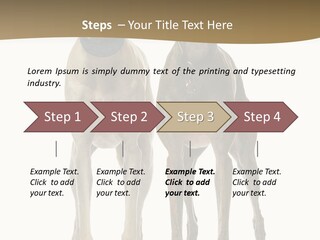 Two Dogs Standing Next To Each Other On A White Background PowerPoint Template