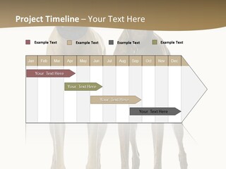 Two Dogs Standing Next To Each Other On A White Background PowerPoint Template