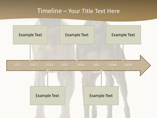 Two Dogs Standing Next To Each Other On A White Background PowerPoint Template