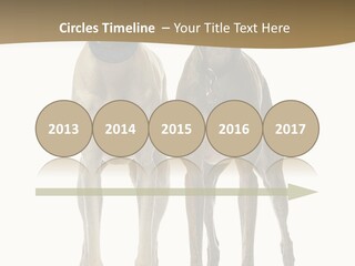 Two Dogs Standing Next To Each Other On A White Background PowerPoint Template