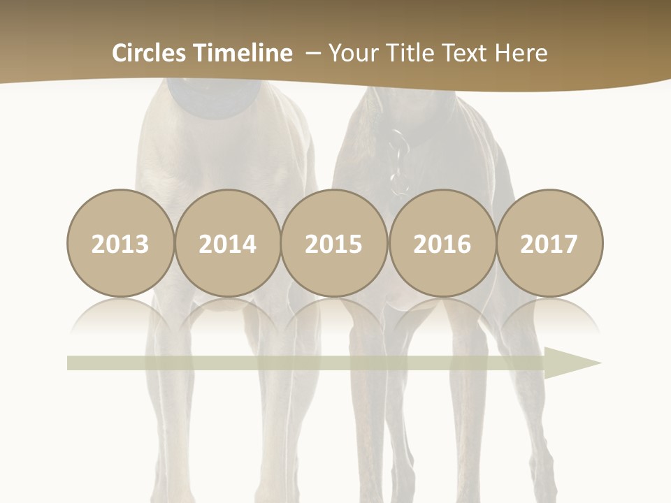 Two Dogs Standing Next To Each Other On A White Background PowerPoint Template