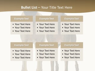 Two Dogs Standing Next To Each Other On A White Background PowerPoint Template