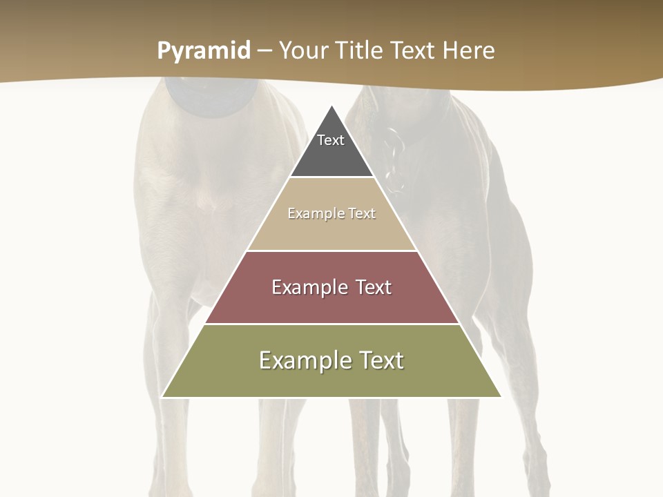 Two Dogs Standing Next To Each Other On A White Background PowerPoint Template