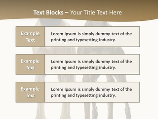 Two Dogs Standing Next To Each Other On A White Background PowerPoint Template