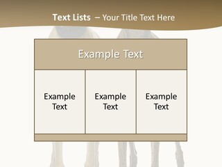 Two Dogs Standing Next To Each Other On A White Background PowerPoint Template