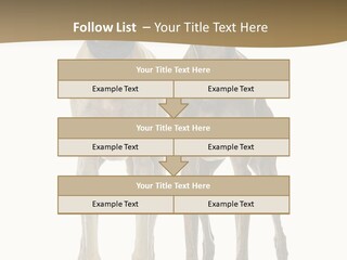 Two Dogs Standing Next To Each Other On A White Background PowerPoint Template