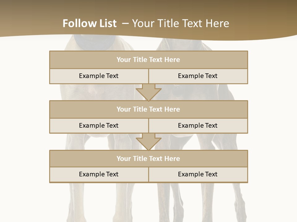 Two Dogs Standing Next To Each Other On A White Background PowerPoint Template