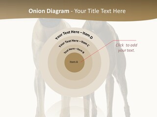 Two Dogs Standing Next To Each Other On A White Background PowerPoint Template