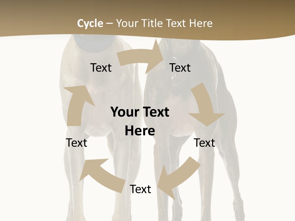 Two Dogs Standing Next To Each Other On A White Background PowerPoint Template