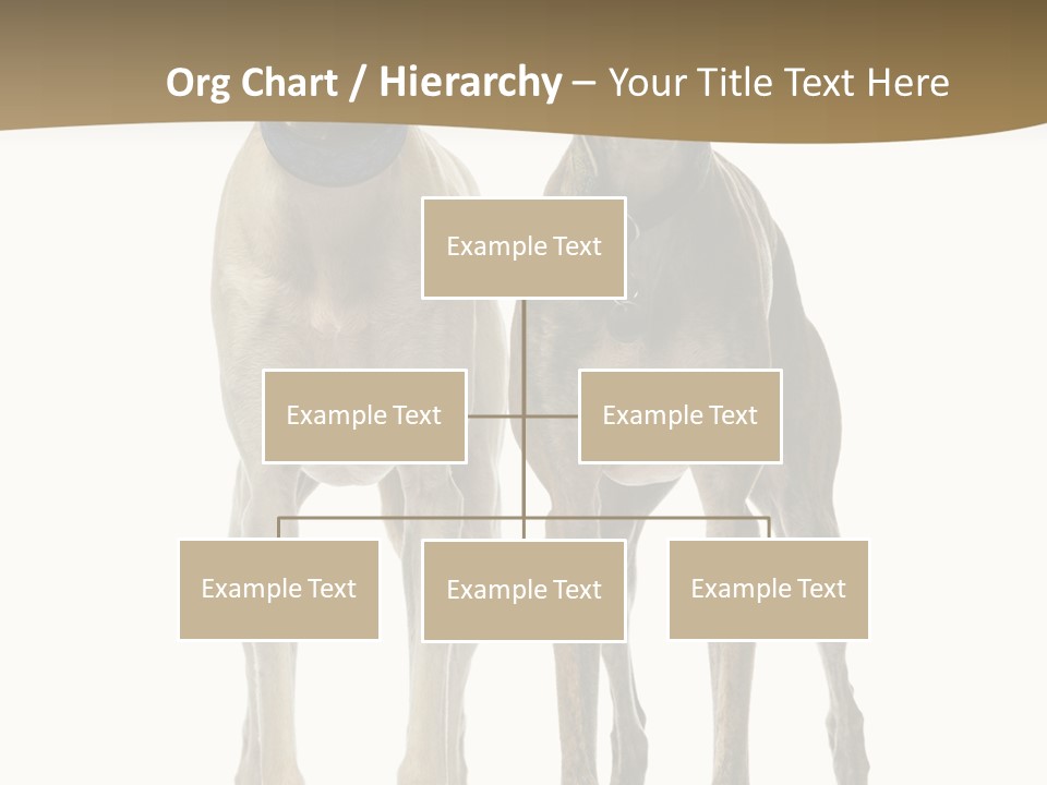 Two Dogs Standing Next To Each Other On A White Background PowerPoint Template