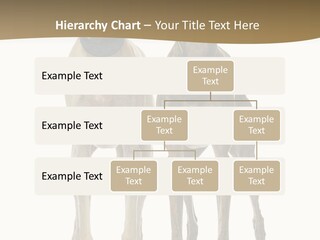 Two Dogs Standing Next To Each Other On A White Background PowerPoint Template