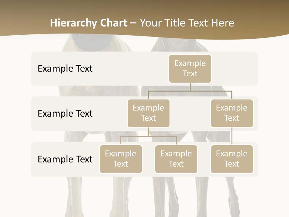 Two Dogs Standing Next To Each Other On A White Background PowerPoint Template