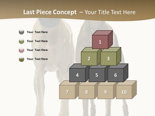 Two Dogs Standing Next To Each Other On A White Background PowerPoint Template