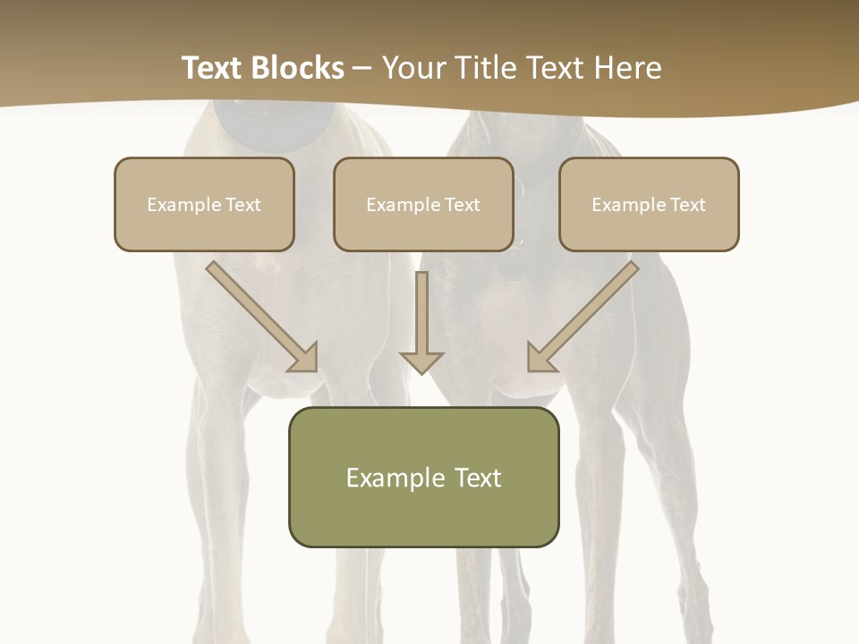 Two Dogs Standing Next To Each Other On A White Background PowerPoint Template