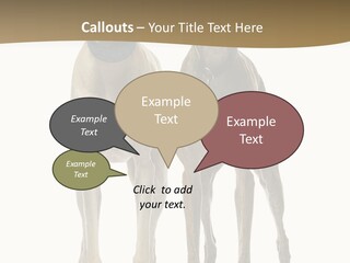 Two Dogs Standing Next To Each Other On A White Background PowerPoint Template