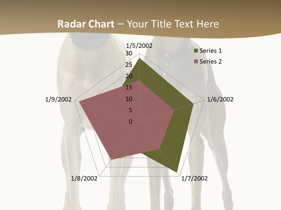 Two Dogs Standing Next To Each Other On A White Background PowerPoint Template