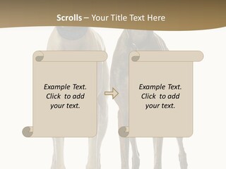 Two Dogs Standing Next To Each Other On A White Background PowerPoint Template