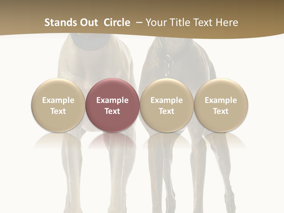 Two Dogs Standing Next To Each Other On A White Background PowerPoint Template