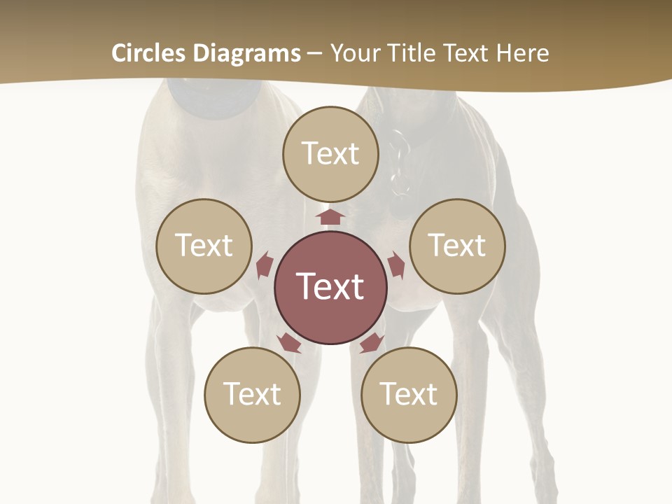 Two Dogs Standing Next To Each Other On A White Background PowerPoint Template