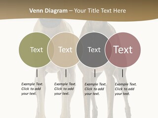 Two Dogs Standing Next To Each Other On A White Background PowerPoint Template