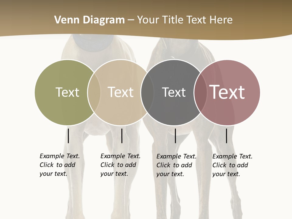 Two Dogs Standing Next To Each Other On A White Background PowerPoint Template