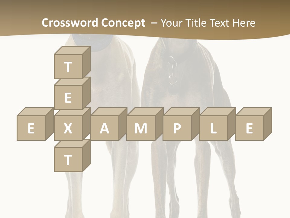 Two Dogs Standing Next To Each Other On A White Background PowerPoint Template