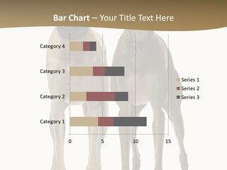 Two Dogs Standing Next To Each Other On A White Background PowerPoint Template