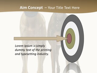 Two Dogs Standing Next To Each Other On A White Background PowerPoint Template