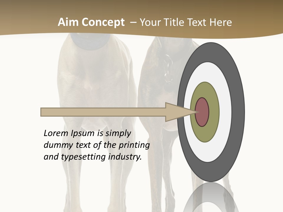 Two Dogs Standing Next To Each Other On A White Background PowerPoint Template