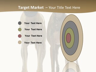 Two Dogs Standing Next To Each Other On A White Background PowerPoint Template