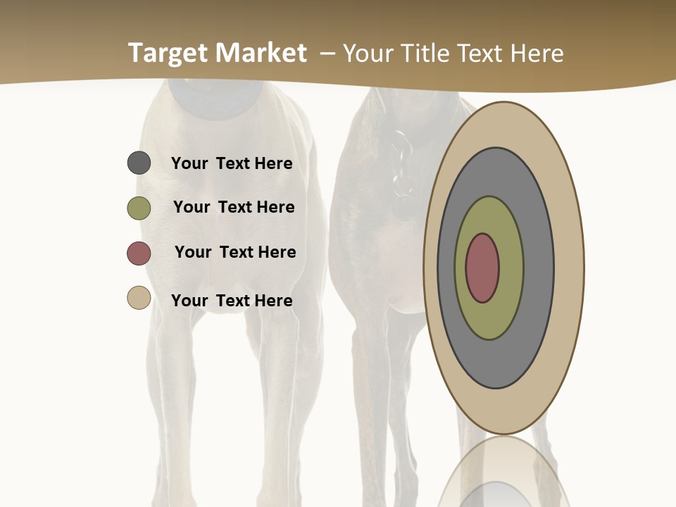 Two Dogs Standing Next To Each Other On A White Background PowerPoint Template