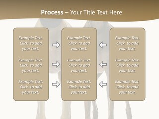 Two Dogs Standing Next To Each Other On A White Background PowerPoint Template