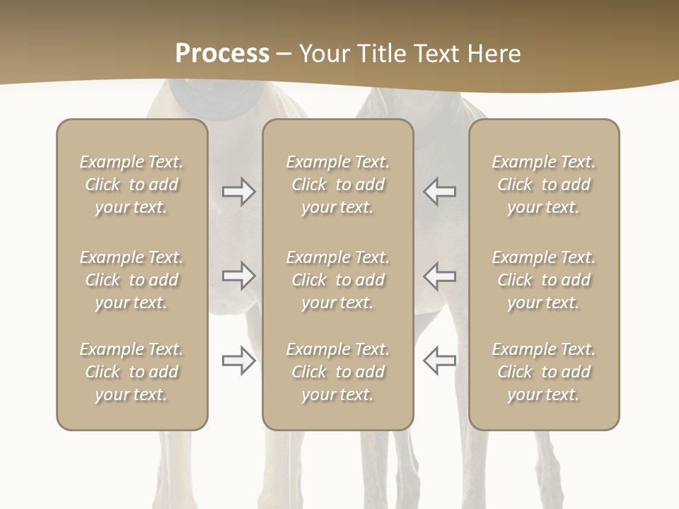 Two Dogs Standing Next To Each Other On A White Background PowerPoint Template