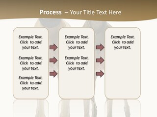 Two Dogs Standing Next To Each Other On A White Background PowerPoint Template