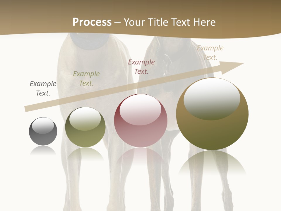 Two Dogs Standing Next To Each Other On A White Background PowerPoint Template