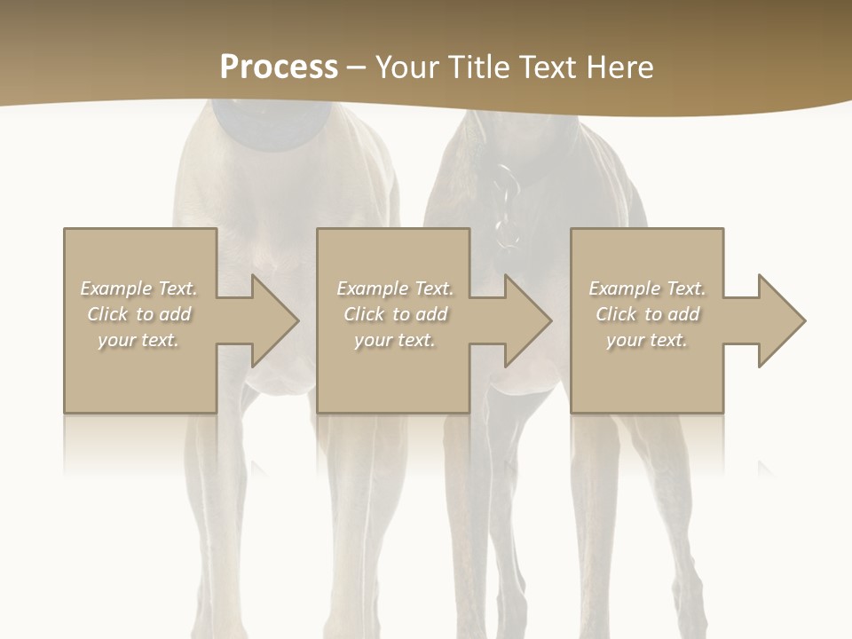 Two Dogs Standing Next To Each Other On A White Background PowerPoint Template