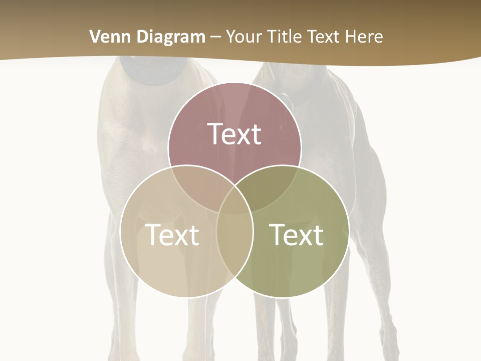 Two Dogs Standing Next To Each Other On A White Background PowerPoint Template