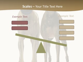 Two Dogs Standing Next To Each Other On A White Background PowerPoint Template